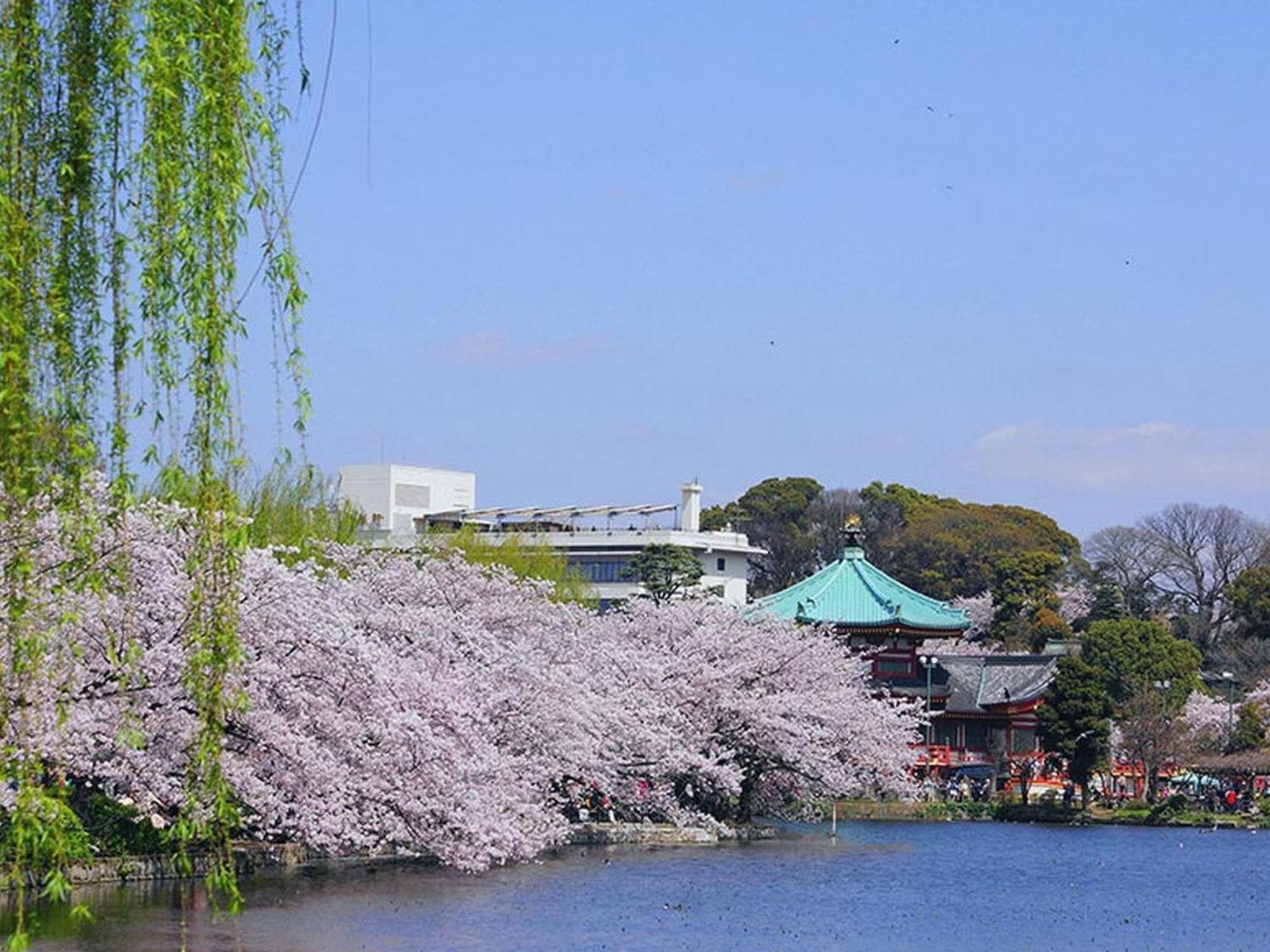 Mystays Ueno Iriyaguchi 3* 东京